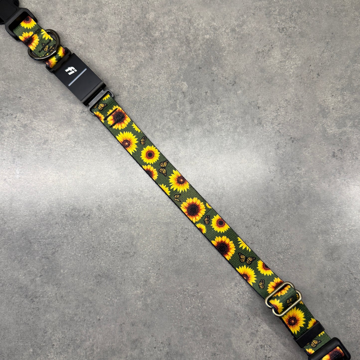 Sunflower Paradise | FI Series 3/3+ Compatible Collar