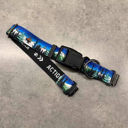 Bluebird Mt. Bachelor | FI Series 3/3+ Compatible Collar