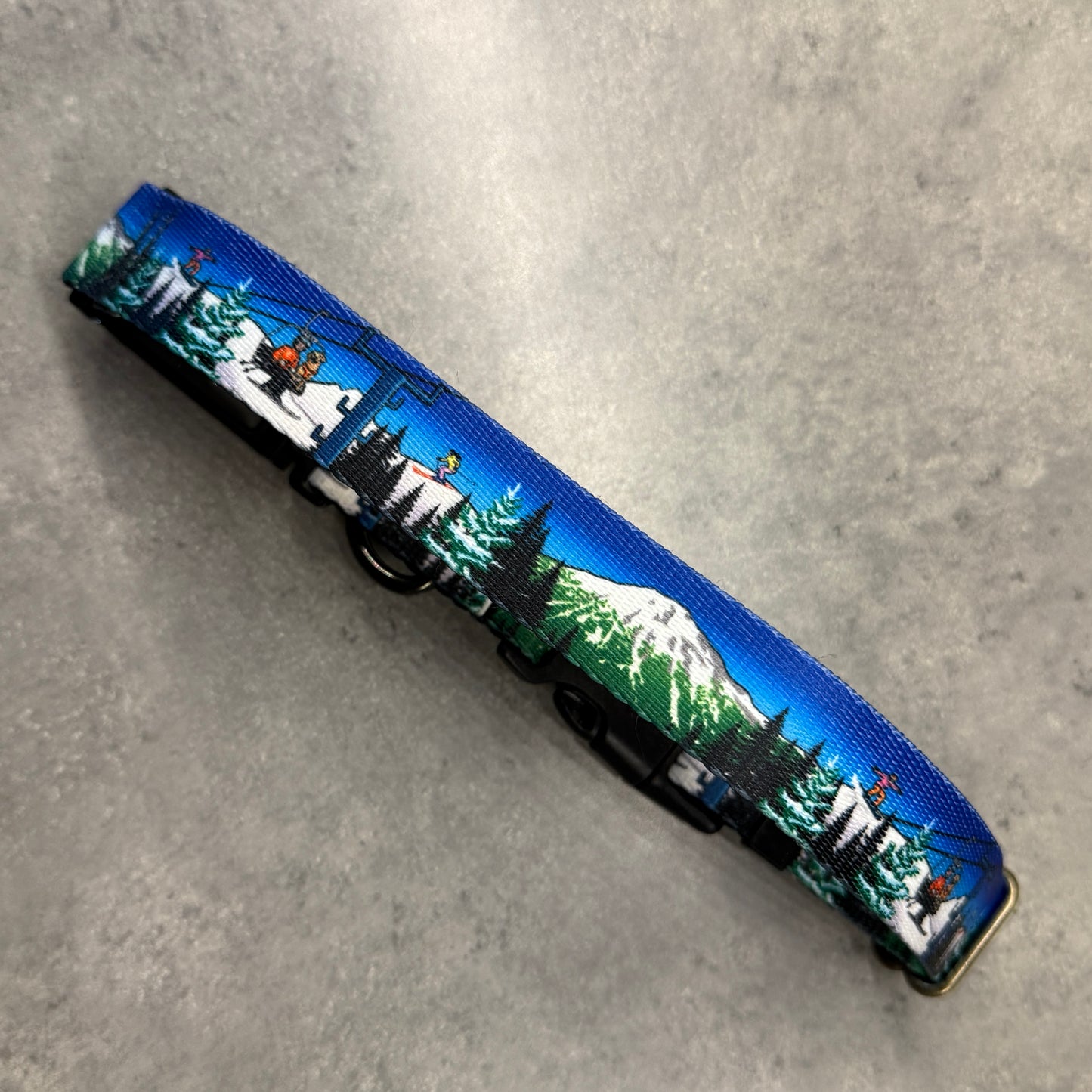Bluebird Mt. Bachelor | FI Series 3/3+ Compatible Collar