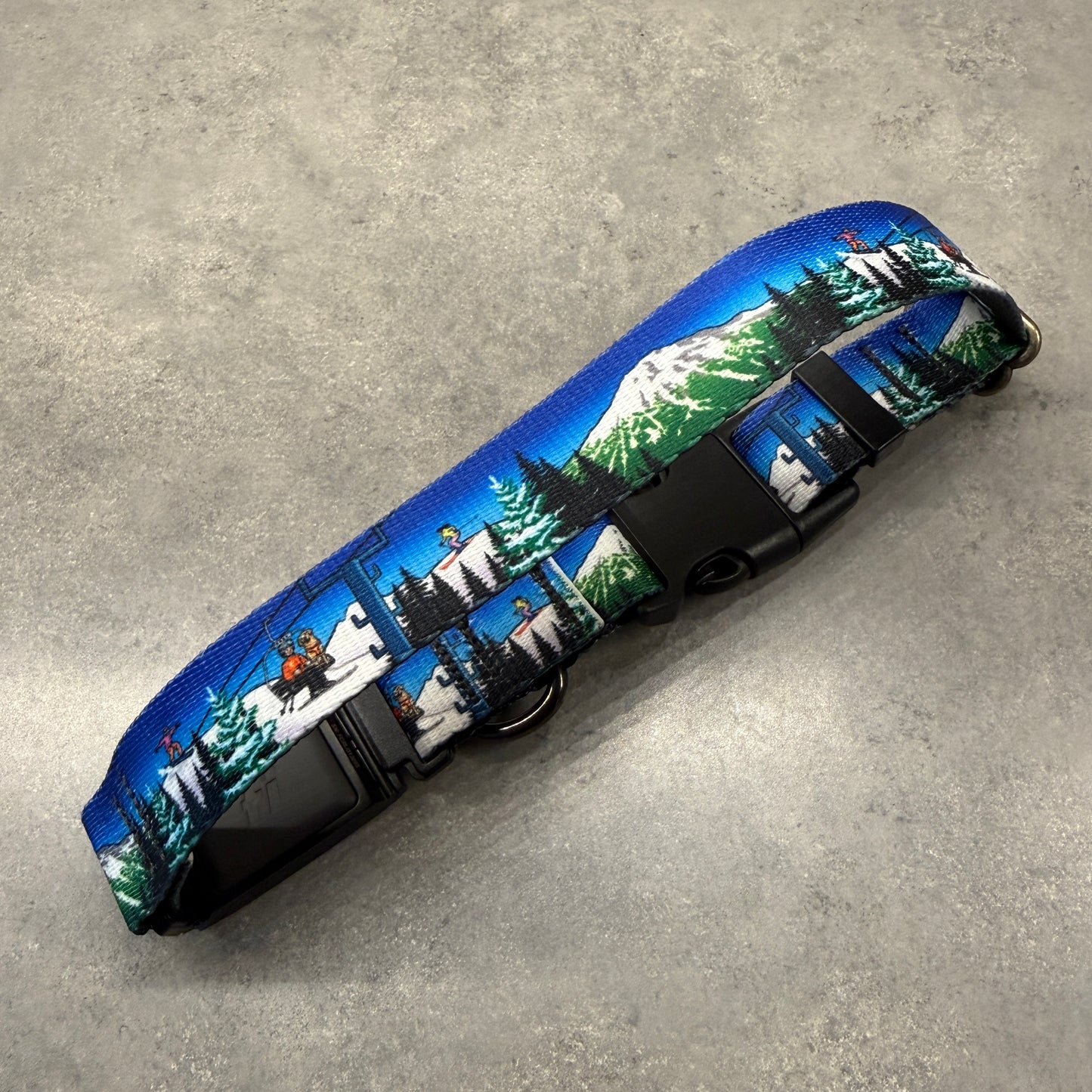 Bluebird Mt. Bachelor | FI Series 3/3+ Compatible Collar