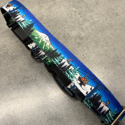 Bluebird Mt. Bachelor | FI Series 3/3+ Compatible Collar