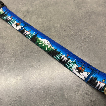 Bluebird Mt. Bachelor | FI Series 3/3+ Compatible Collar