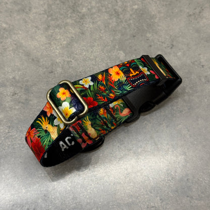 Custom Designed Collar and/or Leash | Handmade Dog Collar