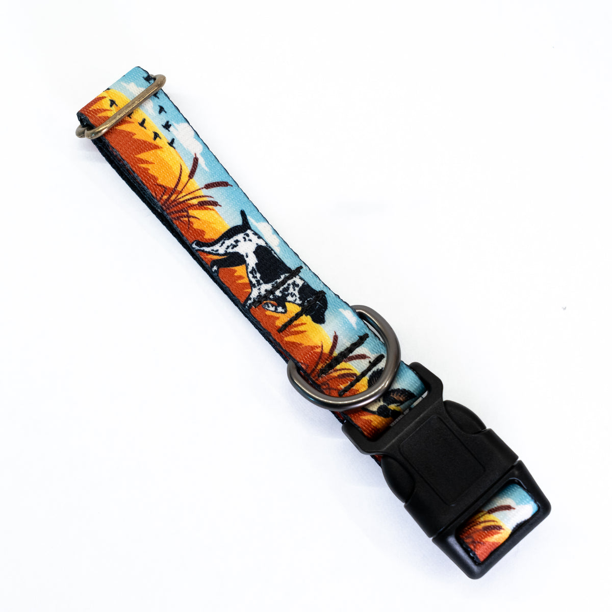 Meadow Pursuit | Handmade Dog Collar